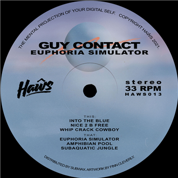 Guy Contact - Euphoria Simulator - Haws