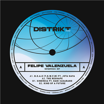 Felipe Valenzuela - Sinergia EP - Distrikt Paris