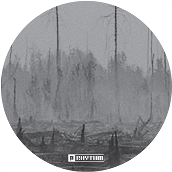 Jurgen Degener - Ember EP [clear vinyl incl. printed poster] - Planet Rhythm