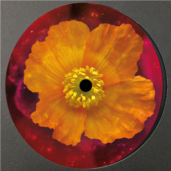 Clarence Wu - Venus Within - hua3000 Clarence Wu - Venus Within - hua3000