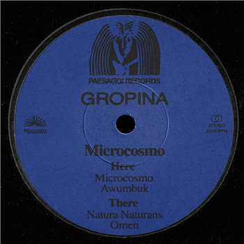 Gropina - Microcosmo - Paesaggi Records