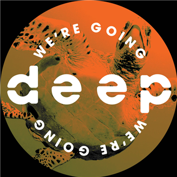 Various Artists - Volume 5 - Were Going Deep