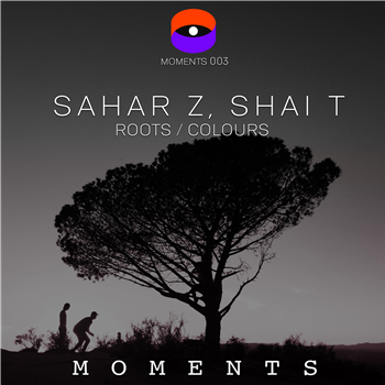 Sahar Z, Shai T - Moments