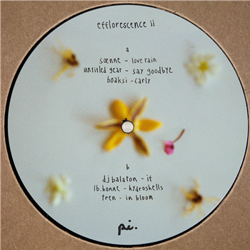 Various Artists - PI001 - Project Indigo Various Artists - PI001 - Project Indigo