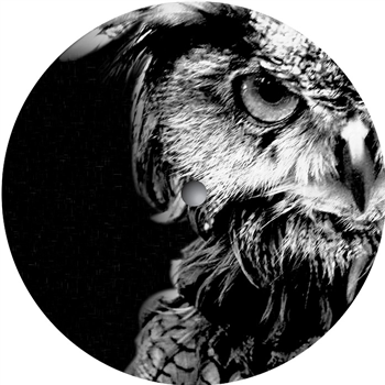 Lyoma - Desensitized - abend kollektiv Lyoma - Desensitized - abend kollektiv