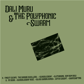 DALI MURU & THE POLYPHONIC SWARM - DALI MURU & THE POLYPHONIC SWARM - STROOM RECORDS