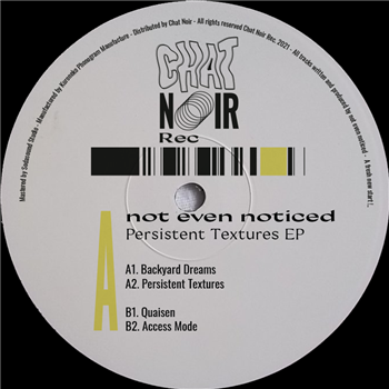 not even noticed - Persistent Textures - Chat Noir Rec. not even noticed - Persistent Textures - Chat Noir Rec.