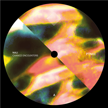 Nali - Chance Encounters - Patterns Of Perception