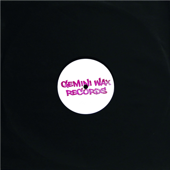 Various Artist - Fall Sample 2021 - Gemini Wax Records