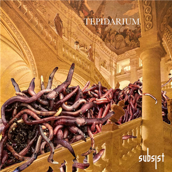 Various Artists (Ocktawian , Mike Storm ,Pulso,Translate, Group) - Tepidarium (With DL Code + Stikcer) - SUBSIST RECORDS
