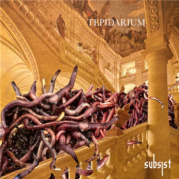 Various Artists (Ocktawian , Mike Storm ,Pulso,Translate, Group) - Tepidarium (With DL Code + Stikcer) - SUBSIST RECORDS Various Artists (Ocktawian , Mike Storm ,Pulso,Translate, Group) - Tepidarium (With DL Code + Stikcer) - SUBSIST RECORDS