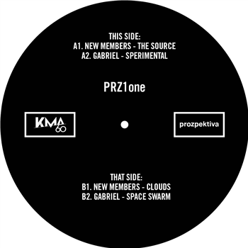 New Members/Gabriel - PRZ1one EP - PROZPEKTIVA