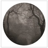 Drvg Cvltvre - Dark Omen - NNY Drvg Cvltvre - Dark Omen - NNY