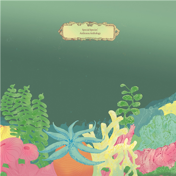 Various Artists - Special Species’ Anthozoa Anthology - Special Species Records