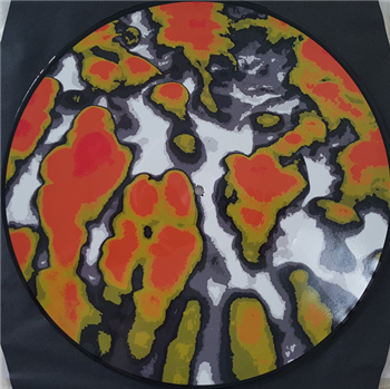 Lou Karsh - Melodies From Inside (Picture disc) - Furthur Electronix