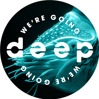 Various Artists - Volume 6 - Were Going Deep