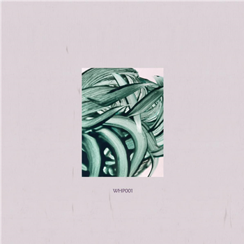 White Pyramid - Lulang Forest - White Pyramid
