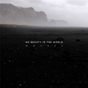 WOUNDS - No Beauty In The World (Grey swirl vinyl LP + download code) - Past Inside The Present