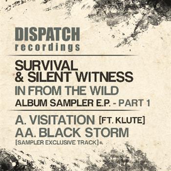 Survival & Silent Witness - Dispatch Recordings