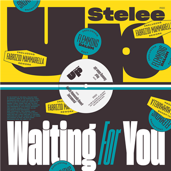 Stelee-up - Waiting For You - Pardonnez-Nous