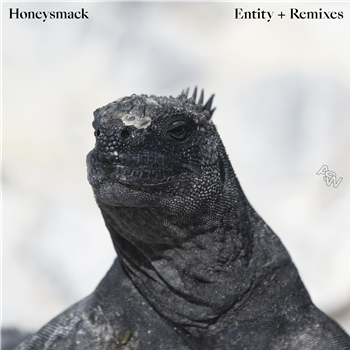 Honeysmack - Entity (Remixes) - Awesome Soundwave
