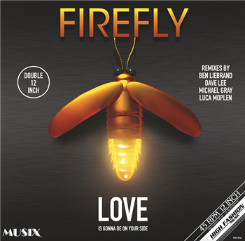 
FIREFLY - LOVE IS IS GONNA BE ON YOUR SIDE (REMIXES) 2x12" - High Fashion Music