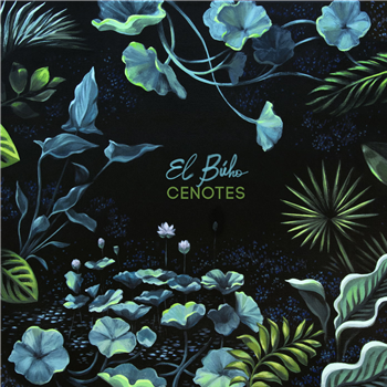 El Búho - Cenotes - Wonderwheel