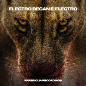 Various Artists - Electro Became Electro (2 X 12") - Pareidolia Recordings