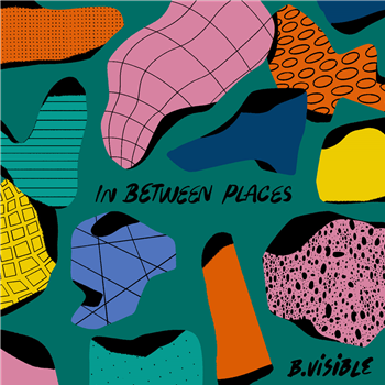 B.Visible - In Between Places - Data Snacks