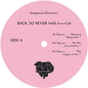Yajiyuso / Ramtin Niazi - Back To Never Was [Normal] EP - Indigenous Electronic