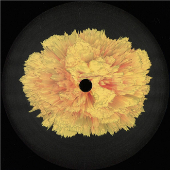 Adam Nahalewicz - The Fortune Teller Ep - FLOORPIECE Adam Nahalewicz - The Fortune Teller Ep - FLOORPIECE