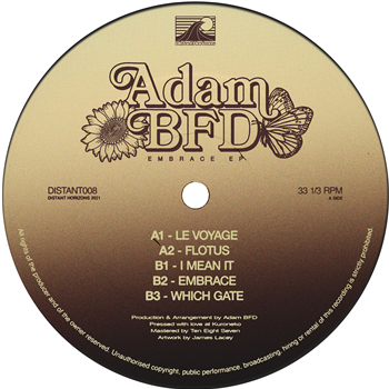 Adam BFD - Embrace EP - Distant Horizons