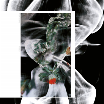 Yaporigami - Chaos Swallower EP - Analogical Force Yaporigami - Chaos Swallower EP - Analogical Force