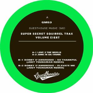 Peter BROWN/DJ MES/BOBBY DAMBROSIO - Super Secret Squirrel Trax Vol 8 (Joey Youngman mix) - Guesthouse Music