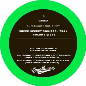 Peter BROWN/DJ MES/BOBBY DAMBROSIO - Super Secret Squirrel Trax Vol 8 (Joey Youngman mix) - Guesthouse Music Peter BROWN/DJ MES/BOBBY DAMBROSIO - Super Secret Squirrel Trax Vol 8 (Joey Youngman mix) - Guesthouse Music