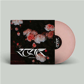 Lone - Natural Aerials EP (Inc. Sherelle Remix) Limited Edition Pink Vinyl w/ Full Picture Sleeve - Greco-Roman