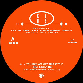 Dj Plant Texture a.k.a. A662 - What Is This Bwoy? - Kaos