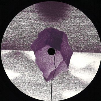 Richelieu - Surch The Menhir Ep - Pulse Msc