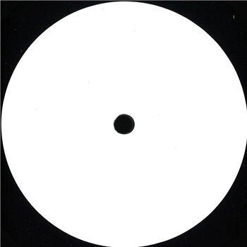 Pino R. - The Analog Signal - Besazio Productions Pino R. - The Analog Signal - Besazio Productions