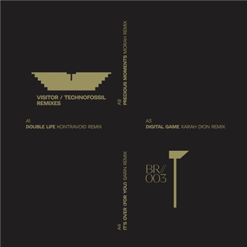 G.O.L.D / Technofossil - remix split - BRAIDS RECORDS G.O.L.D / Technofossil - remix split - BRAIDS RECORDS