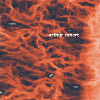 Arthur Robert - Metamorphosis Part 2 - Figure
