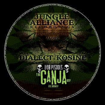 Dialect, Kosine & Dub Pistols Ft. Rodney P / X-Nation - Jungle Alliance Recordings