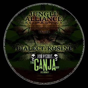 Dialect, Kosine & Dub Pistols Ft. Rodney P / X-Nation - Jungle Alliance Recordings Dialect, Kosine & Dub Pistols Ft. Rodney P / X-Nation - Jungle Alliance Recordings