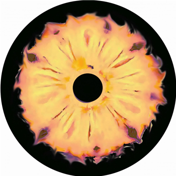 Lurre / Pierre C - Subsequent Ep - Pineapple Express Records