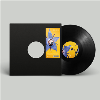 Barry Can’t Swim - More Content - Technicolour Records Barry Can’t Swim - More Content - Technicolour Records