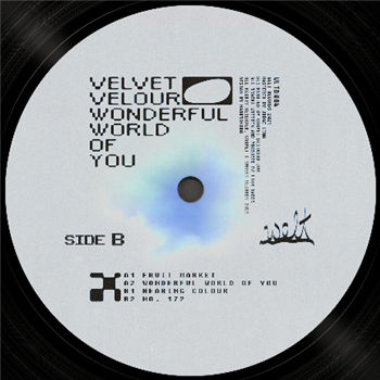 Velvet Velour - Wonderful World Of You - Welt Discos