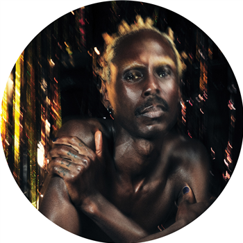 Josh Caffe - Do You Want To Take Me Home (Inc. Steffi & Virginia Remix) - Phantasy Sound