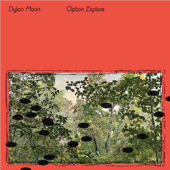 Dylan Moon - Option Explore - RVNG INTL.