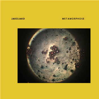 JakoJako - Metamorphose - Bigamo Musik JakoJako - Metamorphose - Bigamo Musik