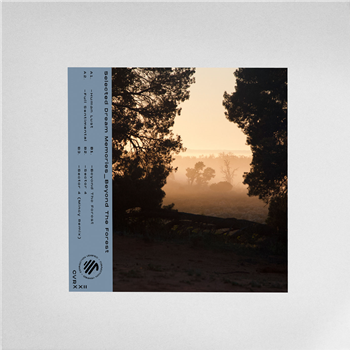 - Beyond the Forest - Connection Verified - Beyond the Forest - Connection Verified
